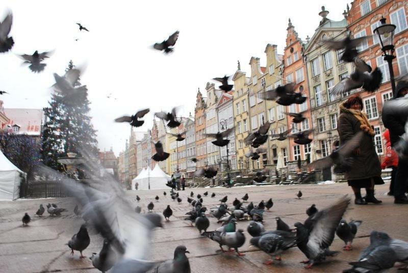 Apartament Sloneczne Poludnie Gdansk Luaran gambar